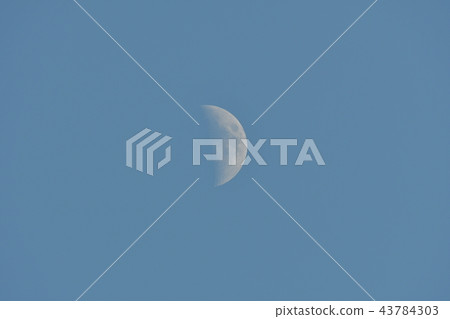 Moon blue Moon blue 43784303