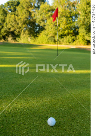 Golf Ball and Flag on the Green of a Golf Course Golf Ball and Flag on the Green of a Golf Course 43784416