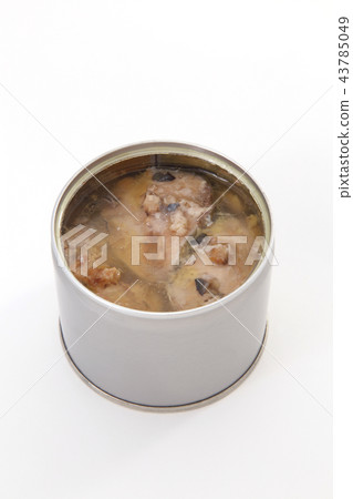 Canned mackerel 43785049