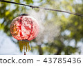 Lantern, water, fog, four grass 43785436