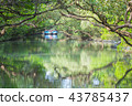 Green tunnel, four grass, bamboo pole 43785437