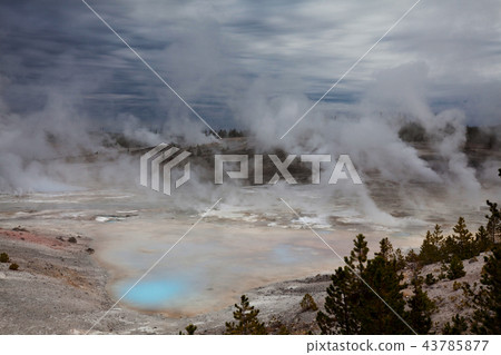 Yellowstone Yellowstone 43785877