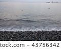 Stone coast 43786342