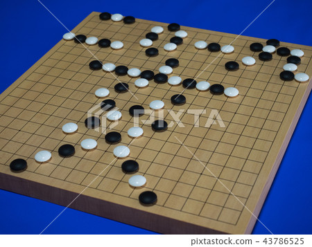 2019年 2019年 43786525