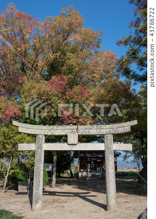 Yahata岩石公園 Yahata岩石公園 43786722