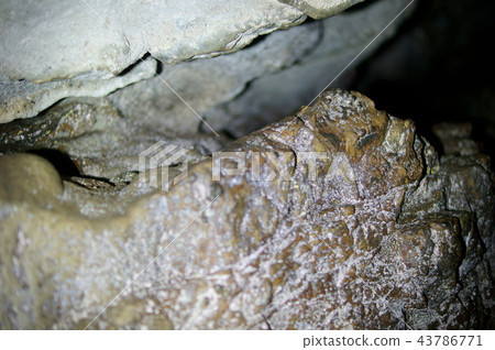 Rock in cave 43786771