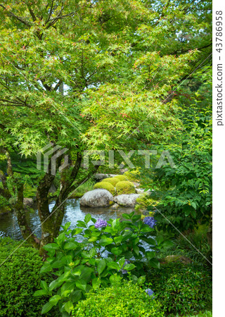 一個花園 一個花園 43786958