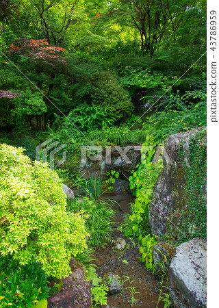 一個花園 一個花園 43786959