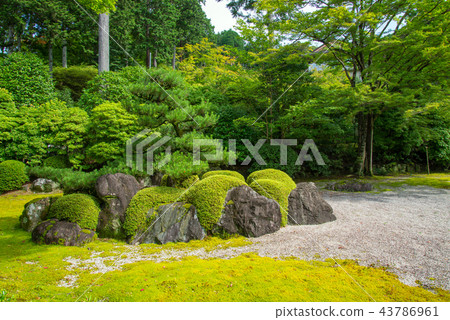一個花園 一個花園 43786961