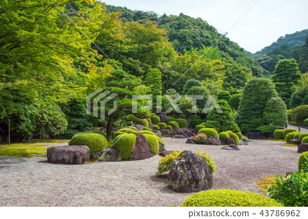 A garden A garden 43786962