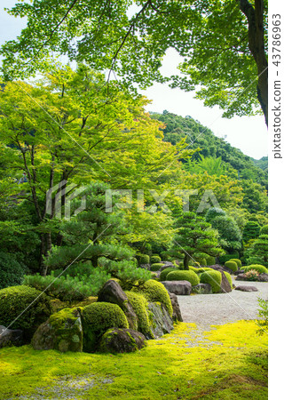 A garden A garden 43786963