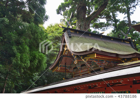 Dongguksansha Kashima Jingu 43788186