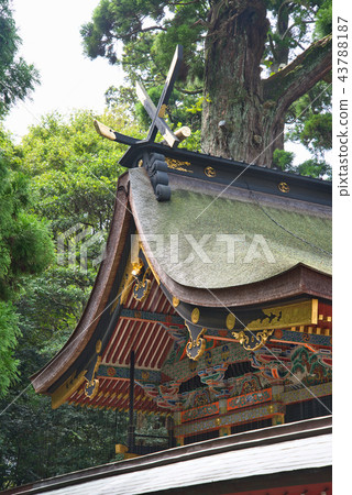 Dongguksansha Kashima Jingu 43788187