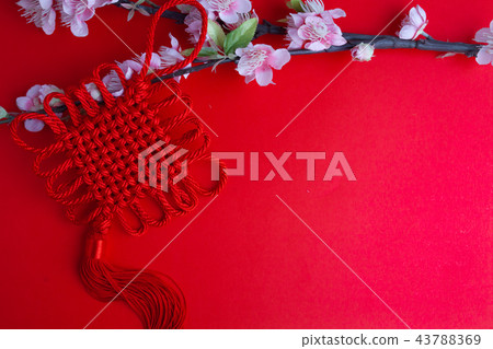 chinese new year festival decorations plum flower 43788369