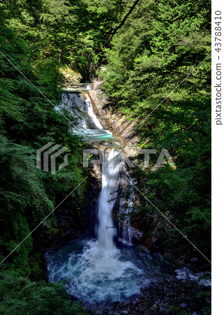 山梨縣山梨縣西澤谷在夏天的Shikatsuma 5-dan瀑布 山梨縣山梨縣西澤谷在夏天的Shikatsuma 5-dan瀑布 43788410