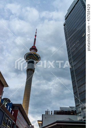 auckland skytower night 43788429