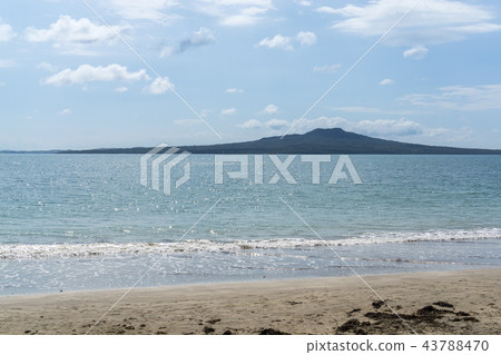 auckland beach view auckland beach view 43788470