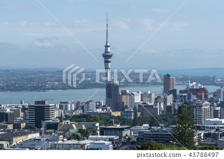 Auckland city view 43788497
