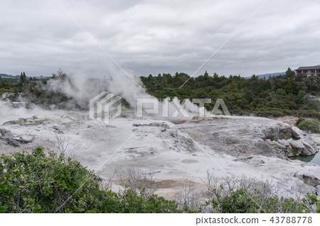 te puia geothermal valley te puia geothermal valley 43788778