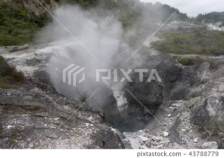 te puia geothermal valley te puia geothermal valley 43788779