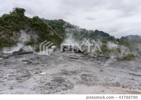 te puia geothermal valley te puia geothermal valley 43788780