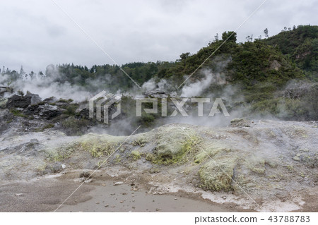 te puia geothermal valley 43788783