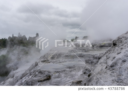 te puia geothermal valley te puia geothermal valley 43788786