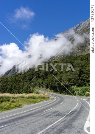 milford road milford road 43789175