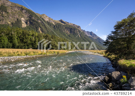 mackay creek 43789214