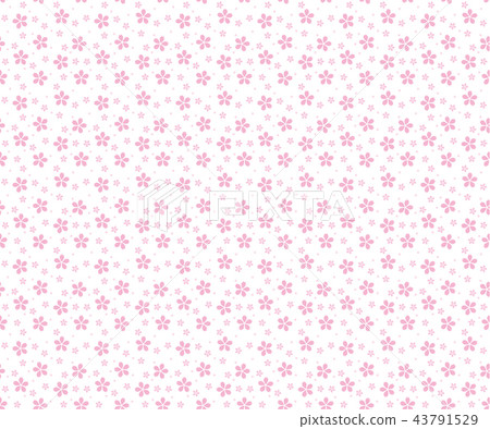 Random cherry blossom background (white background) Random cherry blossom background (white background) 43791529