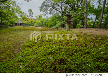 A garden A garden 43792015