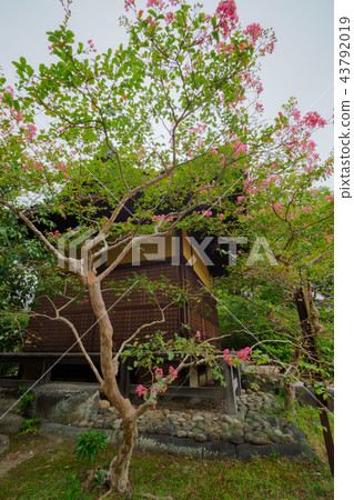 Japanese-style house  43792019