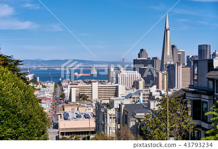 San Francisco skyline, California 43793234