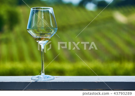 Glass of white wine and vineyards Glass of white wine and vineyards 43793289