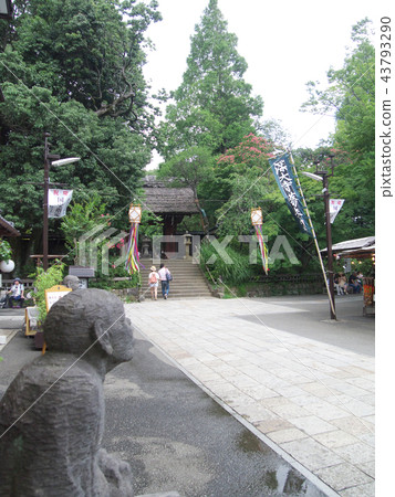 Shinji Temple approach to summer Shinji Temple approach to summer 43793290