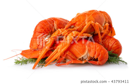 Boiled crayfish with dill isolated on white 43793411