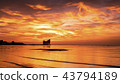 Amazing sunset.Colorful sky in the sunset. Natural 43794189