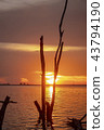 Amazing sunset.Colorful sky in the sunset. Natural 43794190