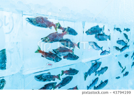 Winter Hokkaido 2018 Chitose / Lake Shikotsu Ice Festival Winter Hokkaido 2018 Chitose / Lake Shikotsu Ice Festival 43794199