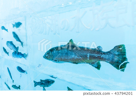 Winter Hokkaido 2018 Chitose / Lake Shikotsu Ice Festival 43794201