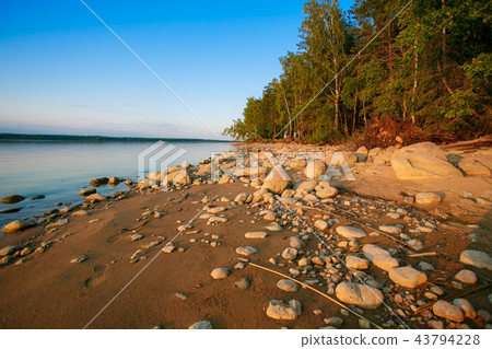 Numerous rocks lying along lake shore near forest 43794228