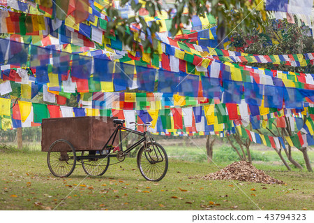 The buddhist old tricycle rickshaw using for cargo 43794323