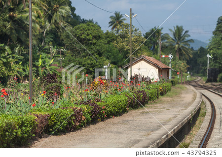Small deserted railway station with a flowerbed. Small deserted railway station with a flowerbed. 43794325