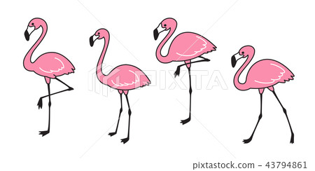 flamingo vector set Cute flamingos collection bird flamingo vector set Cute flamingos collection bird 43794861