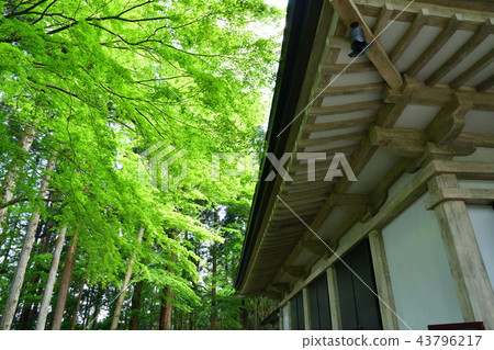 Chusonji Temple (Iwate Prefecture) Chusonji Temple (Iwate Prefecture) 43796217