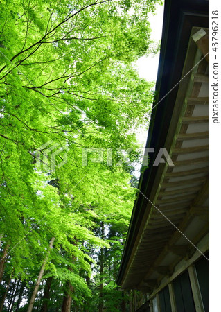 Chusonji Temple (Iwate Prefecture) Chusonji Temple (Iwate Prefecture) 43796218