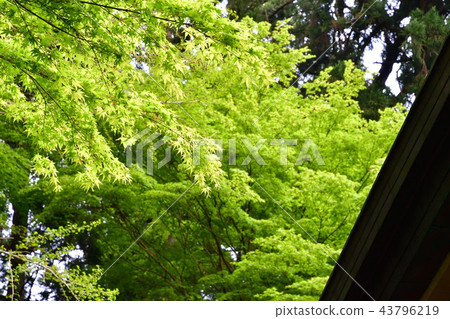 Chusonji Temple (Iwate Prefecture) Chusonji Temple (Iwate Prefecture) 43796219