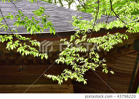 Chusonji Temple (Iwate Prefecture) Chusonji Temple (Iwate Prefecture) 43796220