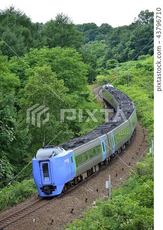 Kiha 281 Limited Express Super Hokuto going to the woodland Kiha 281 Limited Express Super Hokuto going to the woodland 43796710