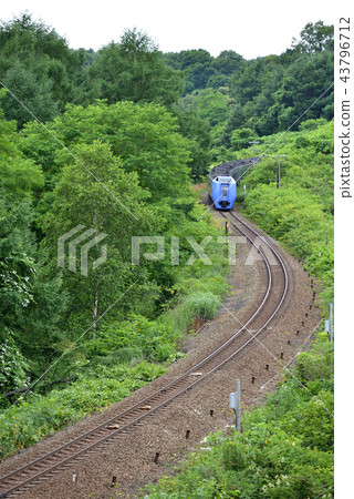 Kiha 281 Limited Express Super Hokuto前往林地 43796712